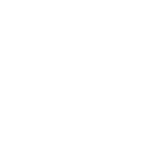 logo BIELIK.AI