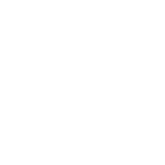 logo Połnocnej Izby Gospodarczej