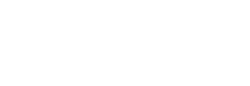 logo Raynet