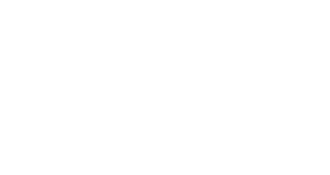 logo RCIITT
