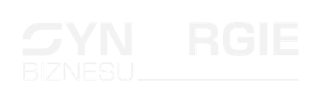 logo Synergie Biznesu